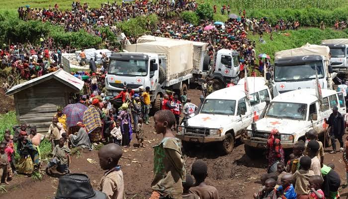 images - 2025-01-23T122116.823